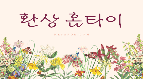 [전북/충청]환상홈타이