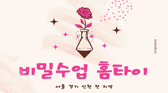 [서울 경기 인천]비밀수업 홈타이